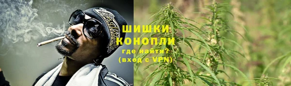 молекула духа Бугульма