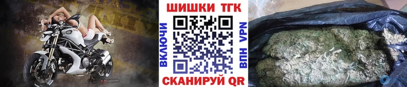 Конопля Amnesia  Кочубеевское 